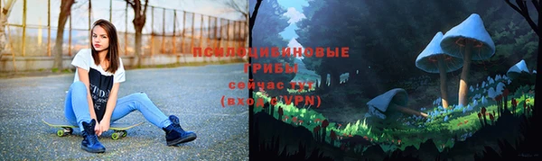 гидра Семёнов