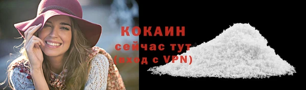 гидра Семёнов