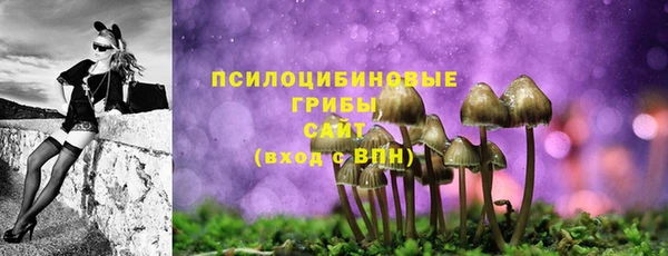 герыч Сатка