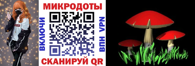 Галлюциногенные грибы ЛСД  Купить закладки  Чудово 
