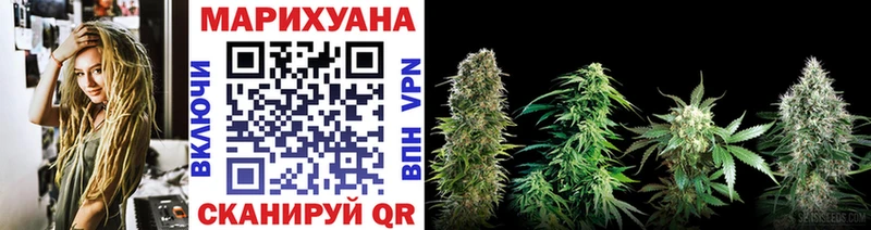 Каннабис планчик Чудово